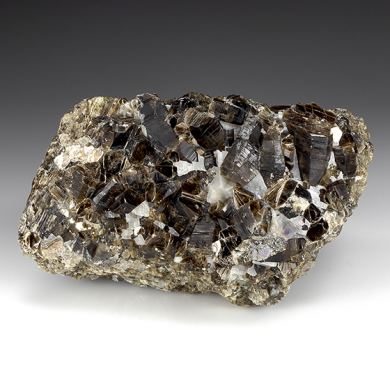 Phlogopite
