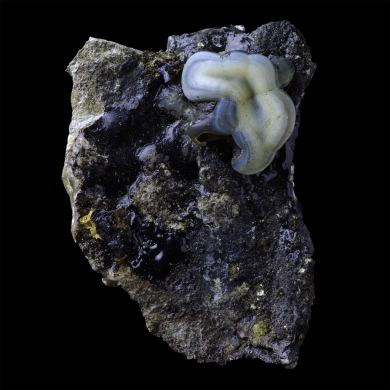 Lussatite Dallet 