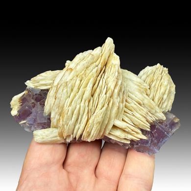 Barite with Fluorite