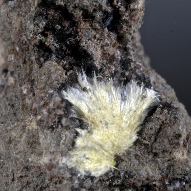 Boltwoodite