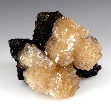 Olmiite