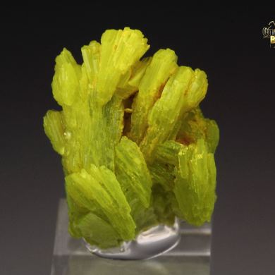 AUTUNITE