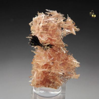 INESITE, HUBEITE