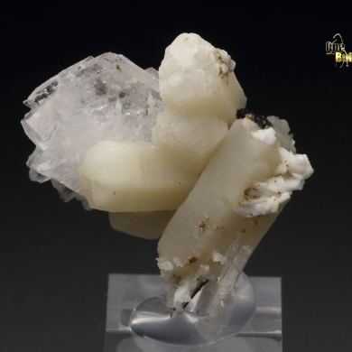 EPIDIDYMITE, ALBITE