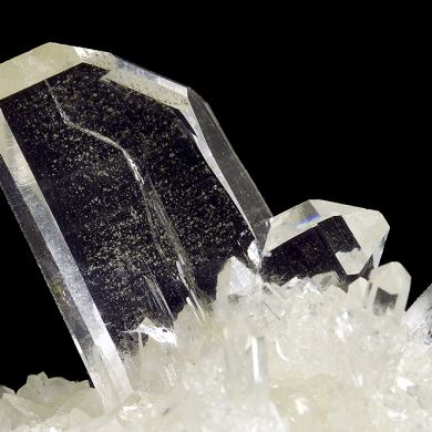 Quartz Japan Law Twin TOP