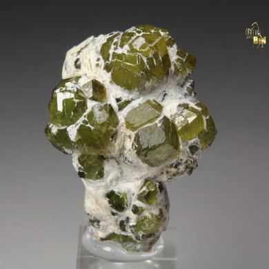 gemmy GARNET var. ANDRADITE var. DEMANTOID