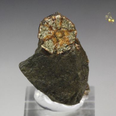 MUSCOVITE var. SERICITE pseudomorph after trapiche CORDIERITE-INDIALITE