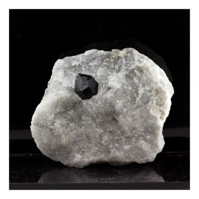 Quartz Morion. 771.0 ct.