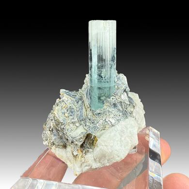 Beryl