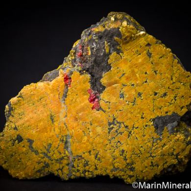 Realgar and Orpiment replacing fossil coral