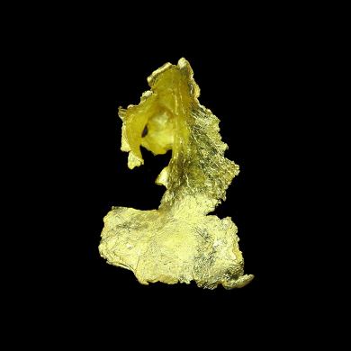 Leaf Gold