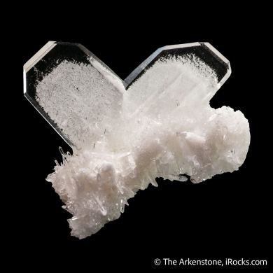 Quartz (Japan Law Twin) with Quartz