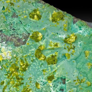 Volborthite