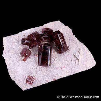Fluor-liddicoatite (Tourmaline) on Microcline