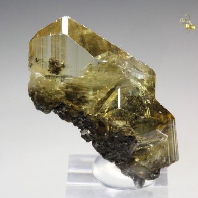 gem ANGLESITE, GALENA