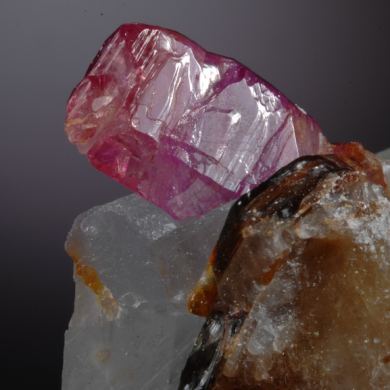 Corundum var. Ruby on Calcite with Phlogopite