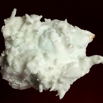 Aragonite ( var. Flos Ferri )