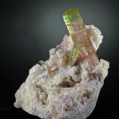 Elbaite on Lepidolite and Cleavelandite
