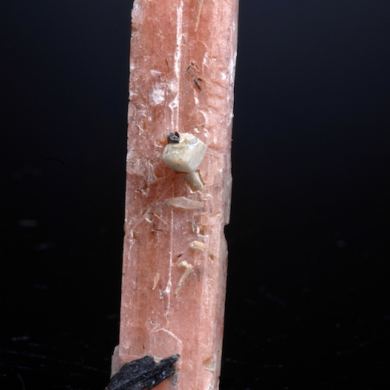 Serandite w. Aegerine etc