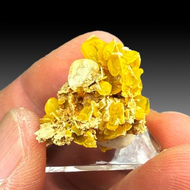 Wulfenite