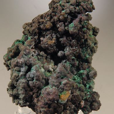 Native Copper (pseudo after Cuprite) w. Malachite and Cuprite