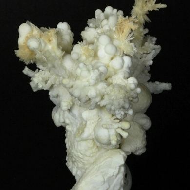 Aragonite and Calcite