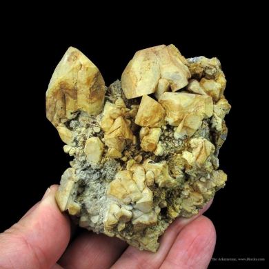 Anglesite With Cerussite, on Galena