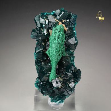 DIOPTASE, MALACHITE pseudomorph