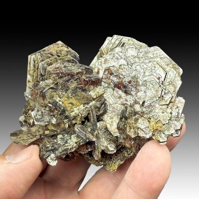 Muscovite