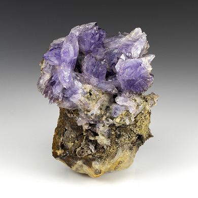Creedite