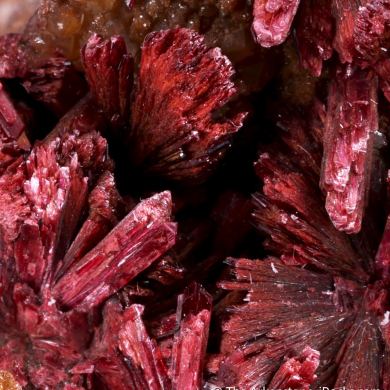 Erythrite (Type Locality)