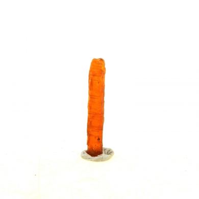 Orange Kyanite. 2.76 ct.