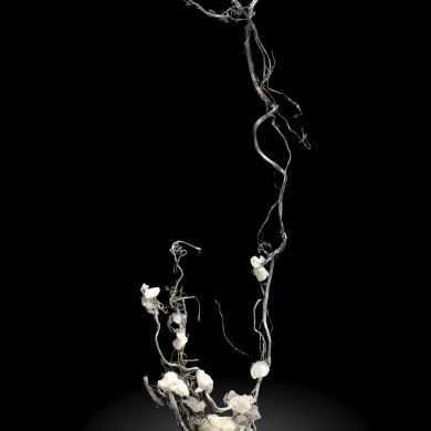 Silver with Calcite