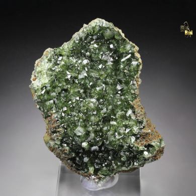LUDLAMITE