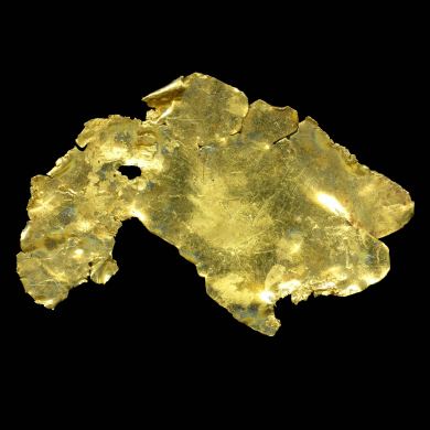 Gold leaf - Jamestown, CA. USA