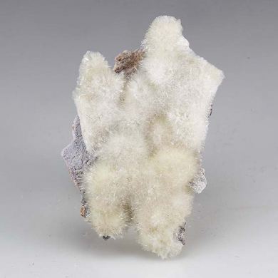 Minyulite with Carbonate-Fluorapatite
