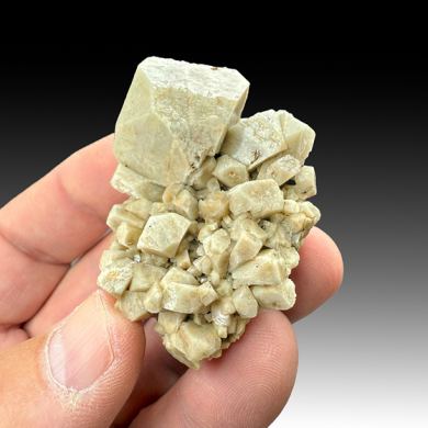 Orthoclase with Zircon