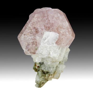 Fluorapatite with Albite