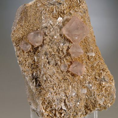 pink Fluorite - octahedrons on Muscovite
