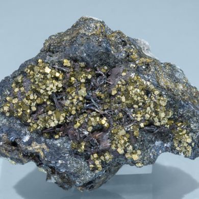 Hutchinsonite with Pyrite and Galena