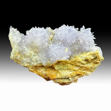Creedite