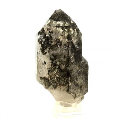 Quartz + Chlorite.