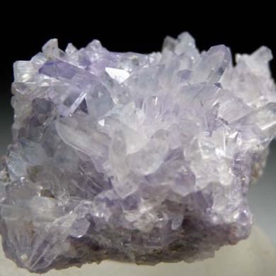 Creedite