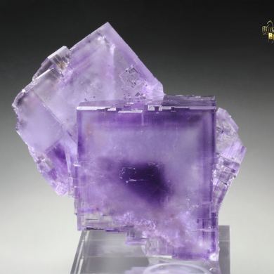 FLUORITE with PHANTOMS