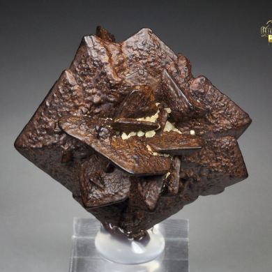 GOETHITE pseudomorph after MARCASITE