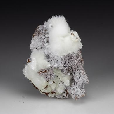 Minyulite with Wavellite, Carbonate-Fluorapatite