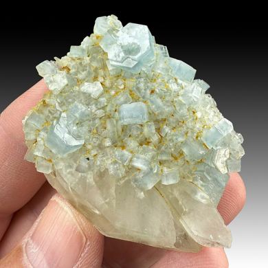 Fluorapatite on Quartz