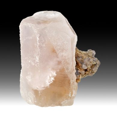 Beryl