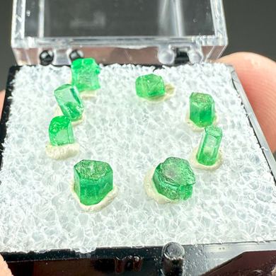Beryl set