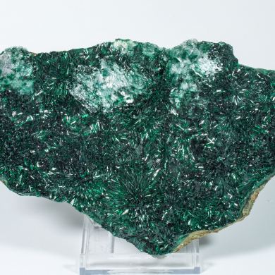 Atacamite with Halloysite